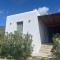 Villa Pergola Andros - Gavrion