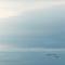 惠州双月湾蓝色海岸海景度假公寓 - 惠东