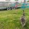 Hébergement Insolite VintageCAMP - proche de Beauval