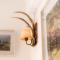 Viento Blanco Suites I - Andarlibre