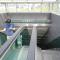 Hongdae guesthouse Cocon Stay - Female only - Seul