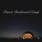 Desert Boulevard Camp