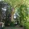 Charming Loire Valley Escape