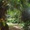 Topos Tree House - Cahuita