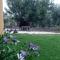 La Buganvilla, descanso entre olivares
