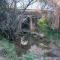 La Buganvilla, descanso entre olivares