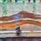 Private Nature Abode near Beaches and Springs - Tabogon