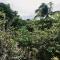 Private Nature Abode near Beaches and Springs - Tabogon