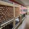 Cozy 1BR Retreat in Leafy Kitisuru, Near UN, Premier Shopping Malls & JKIA Expressway