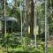 Jungle Getaway Wayand - Pulpally
