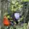 Glamping Zonnebloem - Back-to-Nature