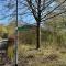 Natur Pur-Waldurlaub im Tiny House - Ronshausen