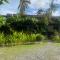 Vivo Siargao