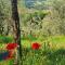 Agriturismo Cafaggio Primo