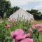 The Oaks Tent Pitches with no accommodation supplied and you must bring your own tent - Colkirk