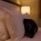 Park Squire Motor Inn & Serviced Apartments