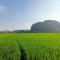 Tam Coc Sunshine Homestay