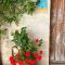 Suite Battisti 7