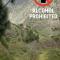 Rivendell Eco lodge