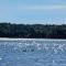 Frenchman Bay Oceanfront Getaway - Sullivan