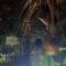 Jungle Hideaway Villas - Newly Renovated Formerly Griya Bunga 2 - Unit 1 - 乌布