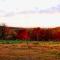 Tiny House Rental Perfect for a Relaxing Weekend Trip in New York State - Castleton-on-Hudson