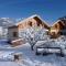 Deux grands chalets communicants - 莱索尔