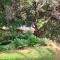 Tree Aloe Guest House
