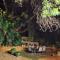 Tree Aloe Guest House