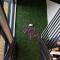 The Block Hotel & Commons - Silverthorne