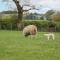 Barnfields Holiday Cottage