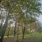Camping Stevin ranc