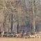 Camping Stevin ranch - Bosanska Dubica