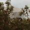 Mount Gnomon Farm