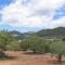 Finca Batlet