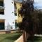 Primavera Sun
