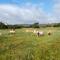 La Cera Farm Camping B&B