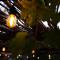 Nylstroom Guesthouse - Modimolle