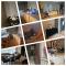 Oteng Guest House