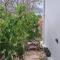 ROLEO Guest House