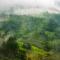 Ramboda Falls PLC Ramboda Falls PLC