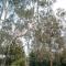 Donnybrook Cottages - Hutt River