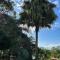 Villa Heliconias