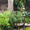 House - Organic Vegetable Garden and Swimming Pool