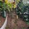 House - Organic Vegetable Garden and Swimming Pool