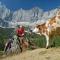 MEINE HEIMAT - Apartments in Ramsau am Dachstein - inklusive SOMMERCARD