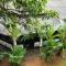 Green Bamboo House