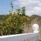 Hotel Alexandros