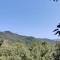 Sunny Lodge Dilijan