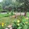 Sunny Lodge Dilijan